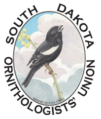 South Dakota Ornithologists' Union Logo